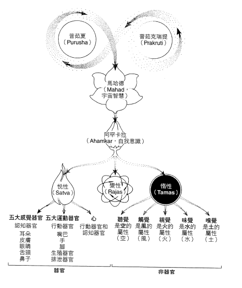 数论哲学创世论～最古老的生命科学～阿育吠陀与人体潜能.jpg