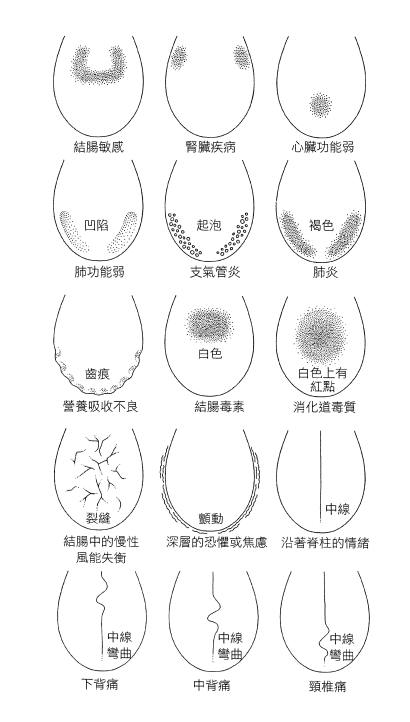 1718088393400.jpg