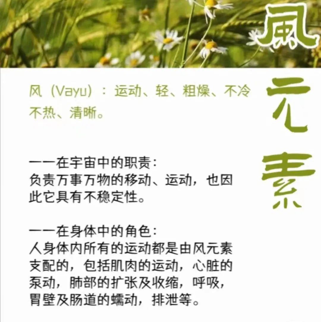 e505d0b775fb60560cfa333ed293b50f.jpeg