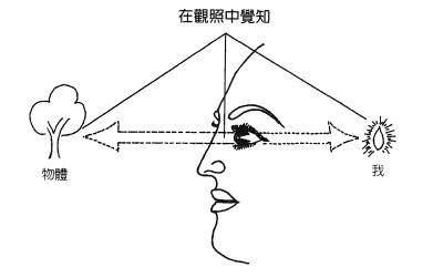 1719728992025.jpg